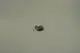 BOSCH-Haltewinkel-8738901765 gallery number 1